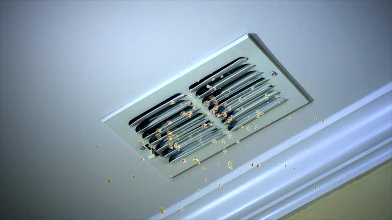Best Ventilation Cleaning Services  in Latta, OK