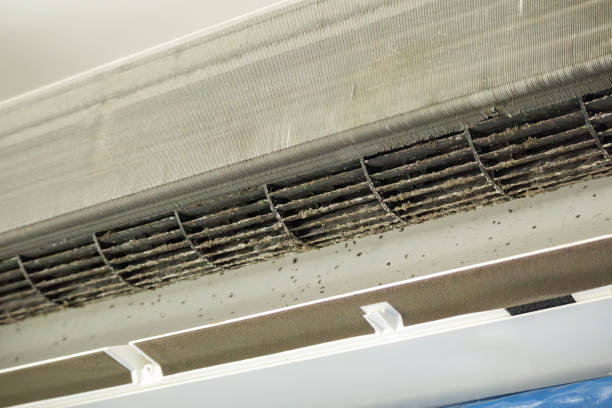 Best Affordable HVAC Duct Cleaning  in Latta, OK